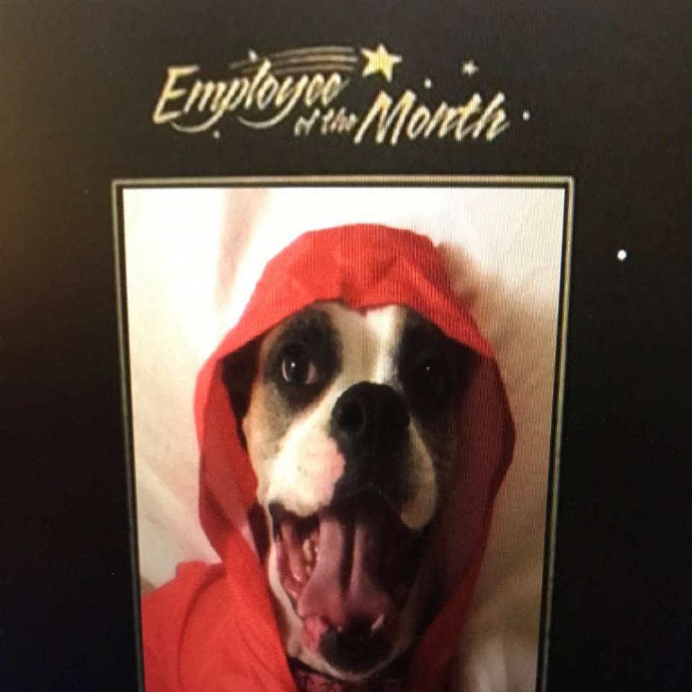 Meet your Posher, Emma